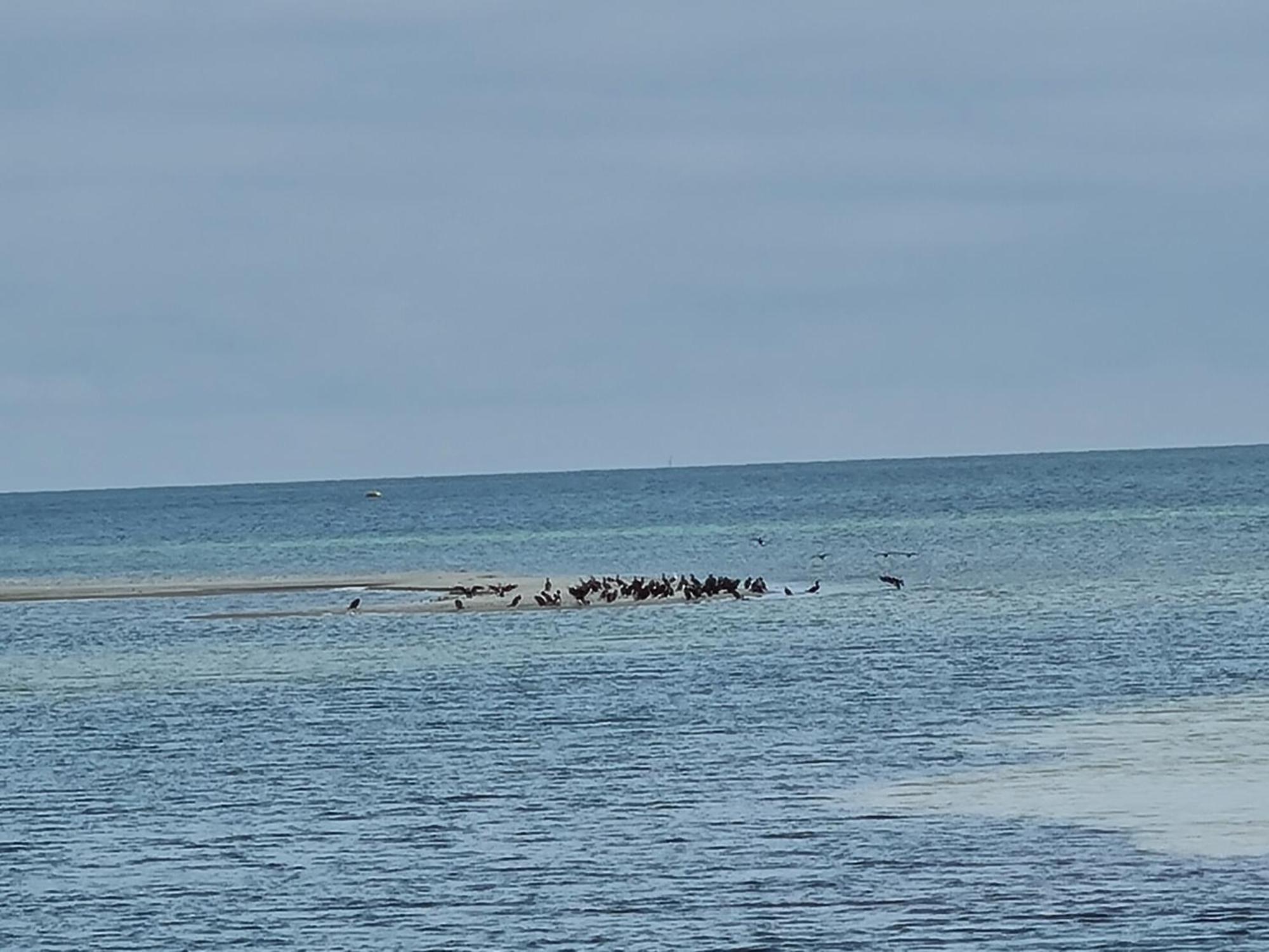 Ferienwohnung "Seeblick" Zingst Εξωτερικό φωτογραφία